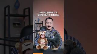 99 Dna Manusia Mirip Simpanse 