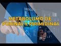 METABOLISMO DE PURINAS Y PIRIMIDINAS