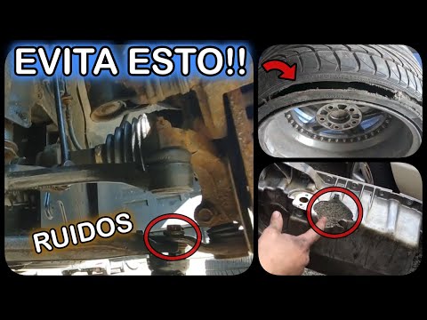 ESTOS son los