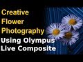 Creative flower photography with olympus live composite ep164