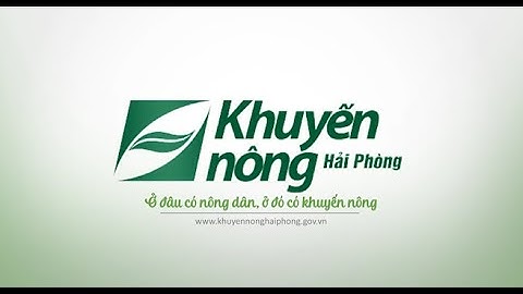 Trung tâm Khuyến nông tổ chức tập huấn nâng cao năng lực nghiệp vụ cho tổ Khuyến nông cộng đồng