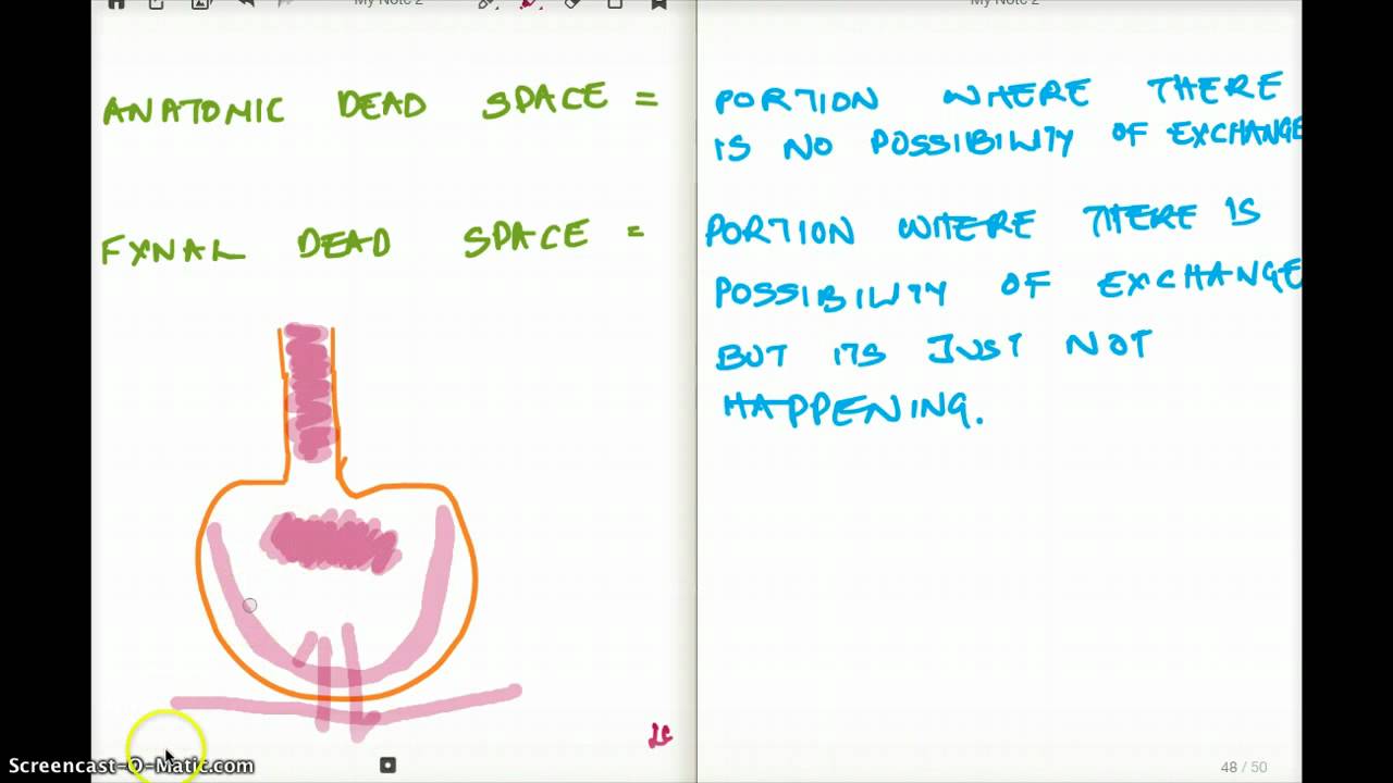 Anatomic and physiologic dead space: Video & Anatomy