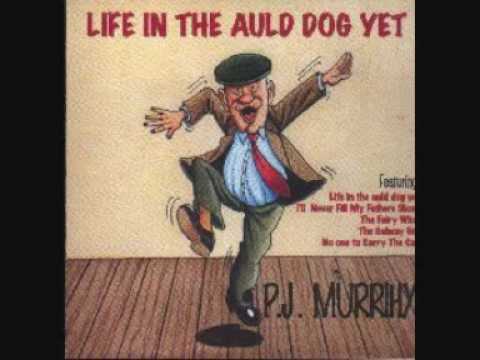 PJ Murrihy - Life In The Auld Dog Yet