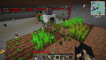 FTB Automatic Wheat Farm Let