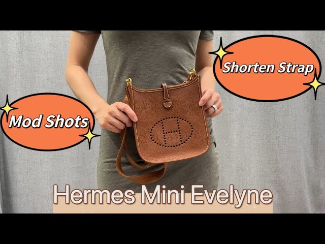 👜Evelyne Mini vs PM  Pros & Cons/Which Size Hermès Evelyne to