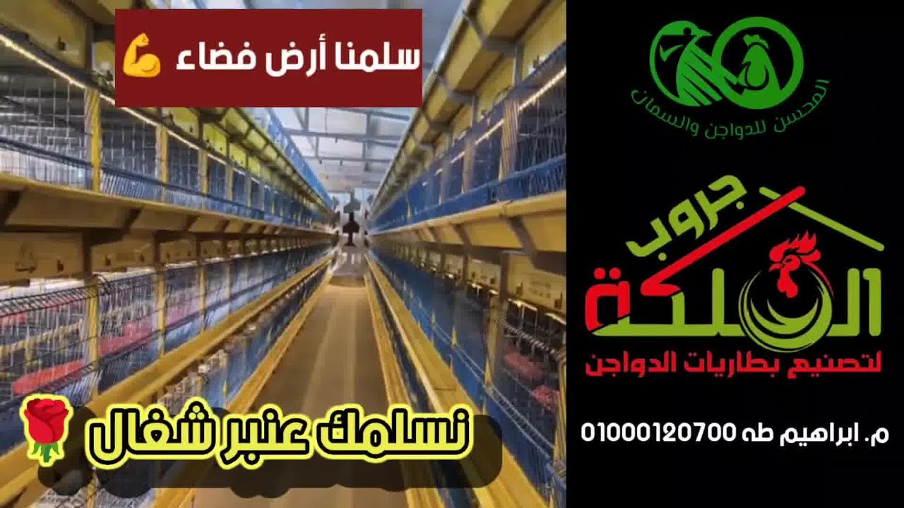 خطين ٨٠ متر أوتوماتيك إلكتروستاتيك💪تحفة فنية من الملكة جروب لبطاريات الدواجن👌سلمنا أرض نسلمك عنبر👍