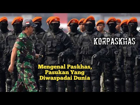 Video: Bagaimana Untuk Masuk Ke Dalam Pasukan Khas Angkatan Udara