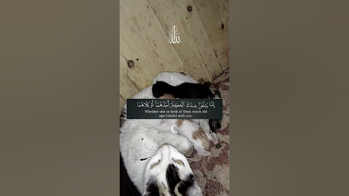 الله يسمح لينا من الوالدين