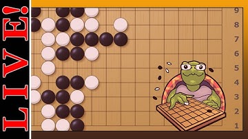 Nice and Clear Basics! #baduk