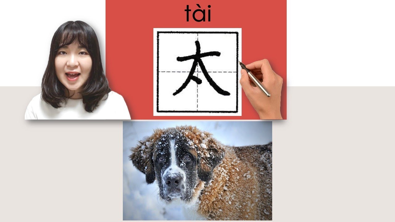 【NEW HSK1】_#hsk1 _太/tai(too, excessively)How to Pronounce&Write Chinese ...