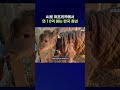 해외에서 국위선양 중인 중소 IT 기업들 근황 #AI #스타트업 #shorts / 스브스뉴스