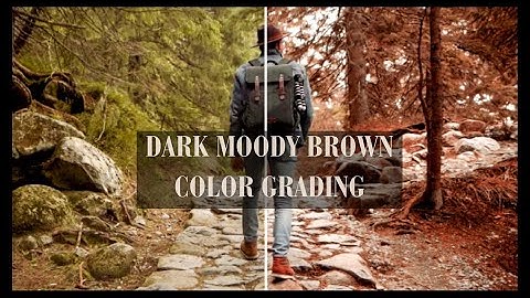 Dark Moody Brown Color Grading in VN Video Editor - Tutorial