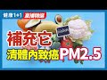 補充它 清出體內致癌PM2.5 | 健康1+1 · 直播精選