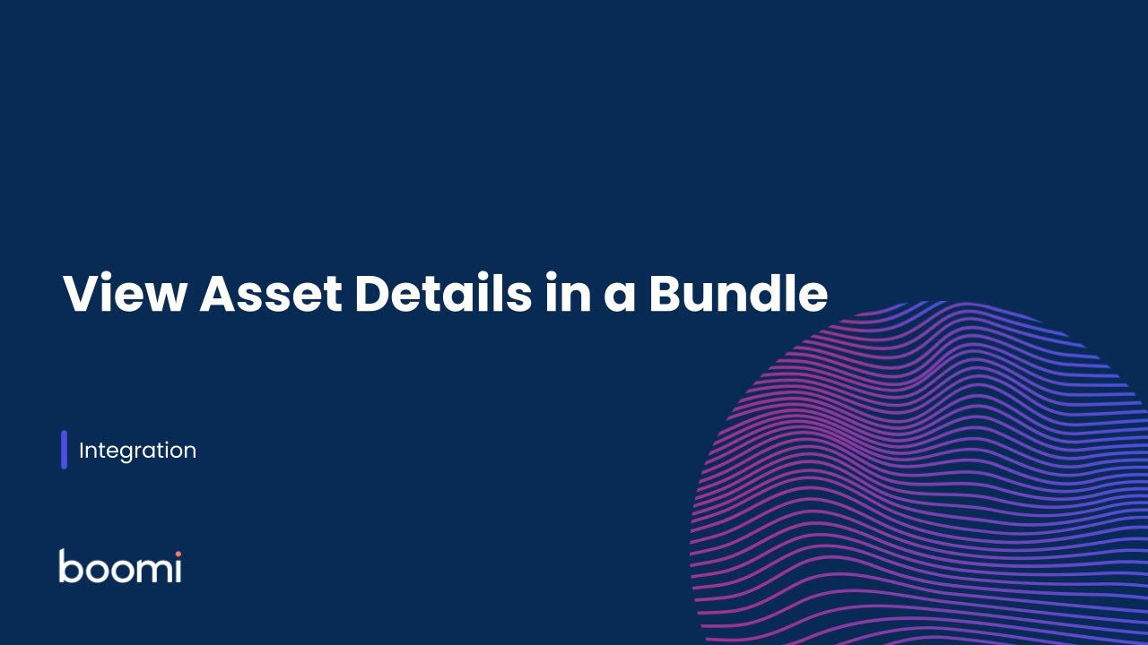 Integration - View Asset Details in a Bundle - YouTube