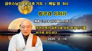 [금우스님 라이브 #1453]  부처님의 이복동생 난다 테라 이야기(2) - 부처님의 이복동생인 난다는 결혼식 전날 부처님에 의해 비구가 되었다 / 2025.2.10