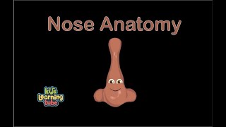 The Nose Anatomy Song