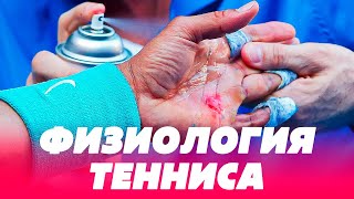 Физиология тенниса: тренировки, долголетие, питание, травмы, рост | ВСЕМ ТЕННИС