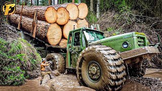 INCREDIBLE ! 135 Biggest Wood Logging Truck Industrial Machines Operator Skill At Another Level