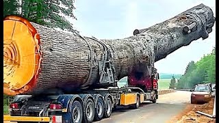 BIGGEST OVERLOAD LOGGING TRUCKS FAILS CRAZY DRIVERS OFF ROADS EXCAVATOR DESTROYS FASTEST CARS