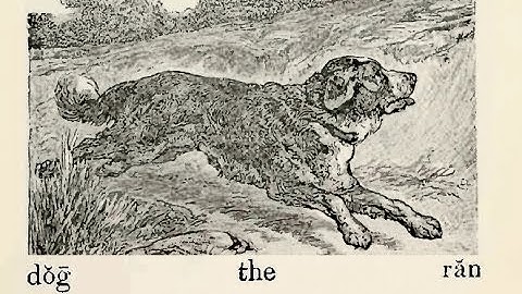 a 1-1 Video Lesson I: The dog ran . - McGuffey
