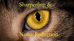 Learn Lightroom 6 - Episode 5: Sharpening & Noise Reduction - Durasi: 34.55. 