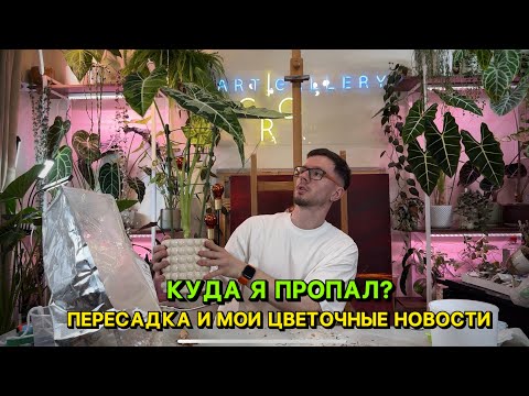 Куда я пропал?