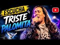 ESCUCA TOP 3  Triste palomita  Sera que nunca le sucedio  Quiero una chica