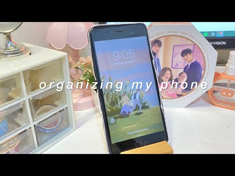 organizing & cleaning
