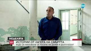 "ДОМЪТ НА ХУЛИГАНИТЕ" В БЕЛЕНЕ: Защо млади хора са били арестувани? - Неделята на NOVA (11.10.2020)