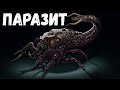 Страшная история. Странный случай.