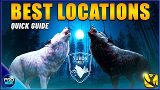 The Best HOTSPOTS to hunt Gray Wolf 22/23 - theHunter Call of the Wild screenshot 3