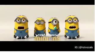 Despecito song by minions