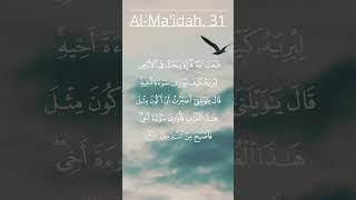Al ma'idah {5:31}  Abdullbasit Abdullsamad --- سورة المائدة {5:31} عبدالباسط عبدالصمد