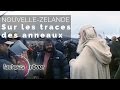 Mille et une vies nouvellezlande  leldorado du cinma reportage complet  fautpasrever