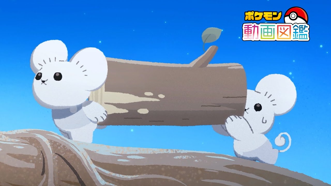 公式】「ポケモン動画図鑑」No.0924 ワッカネズミ - YouTube
