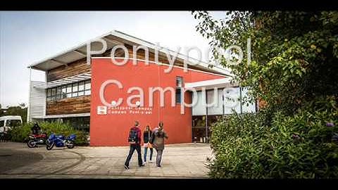 Linear multimedia products