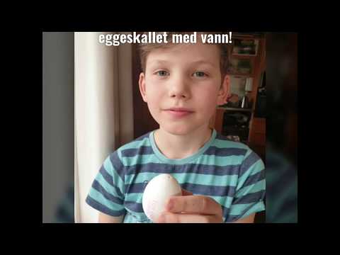 Video: Vi Gjør Med Barn: Hvor Enkelt Det Er å Dekorere Egg Til Påske