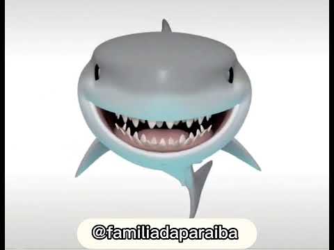 cuidado tubarão 🦈