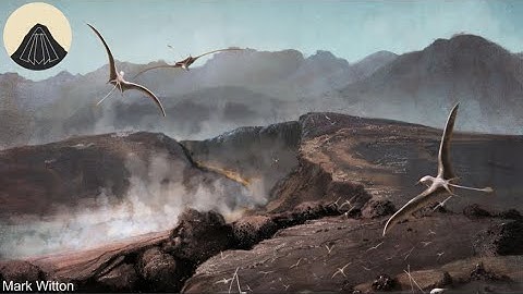The Mass Extinction you