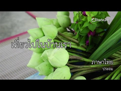 ภาษาไทย ประถม เที่ยวไปในบ้านเรา