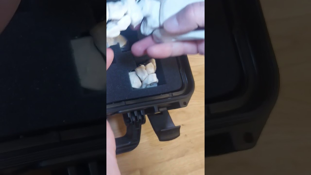 Skandál. Do Dexter Academy dorazil kufr s nohou.