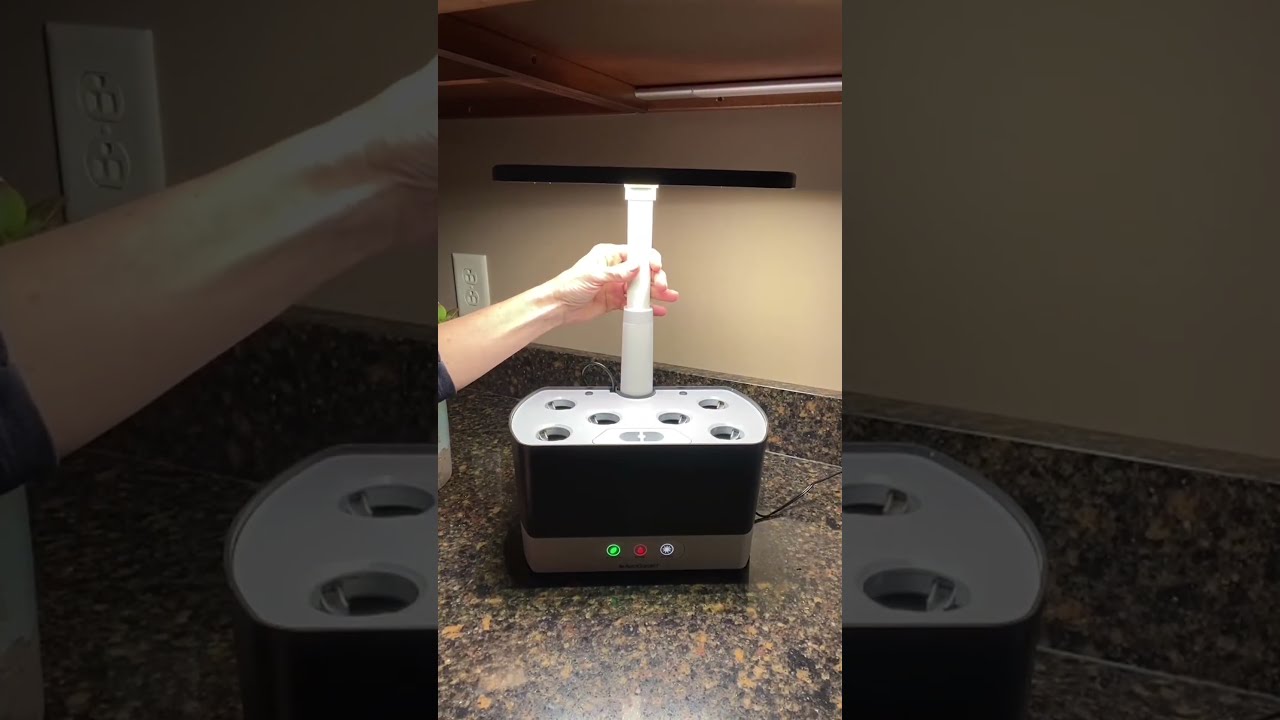 Grow Fresh Herbs & Veggies Indoors 🌱 AeroGarden Harvest Lite Review!