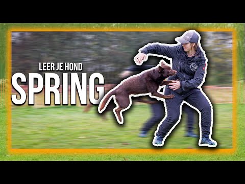 Video: Hoe Om Te Leer Spring Op 'n Snowboard