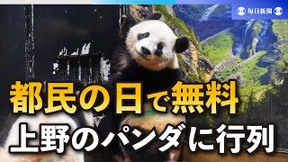 上野動物園の双子パンダに行列　「都民の日」都民以外も無料開放