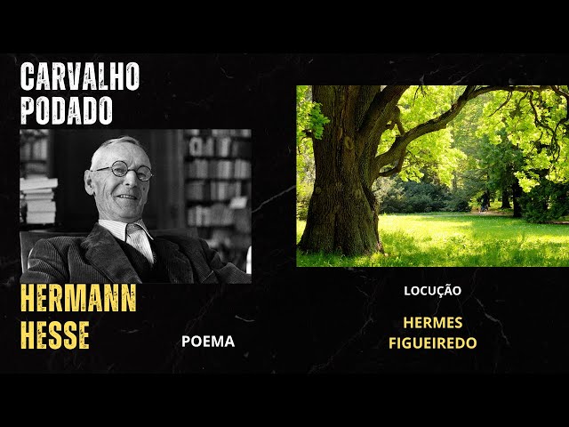 Poesia "Carvalho Podado" [Hermann Hesse]