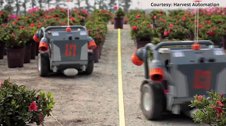 McCorkle Nursery Gives a Glimpse into the Future