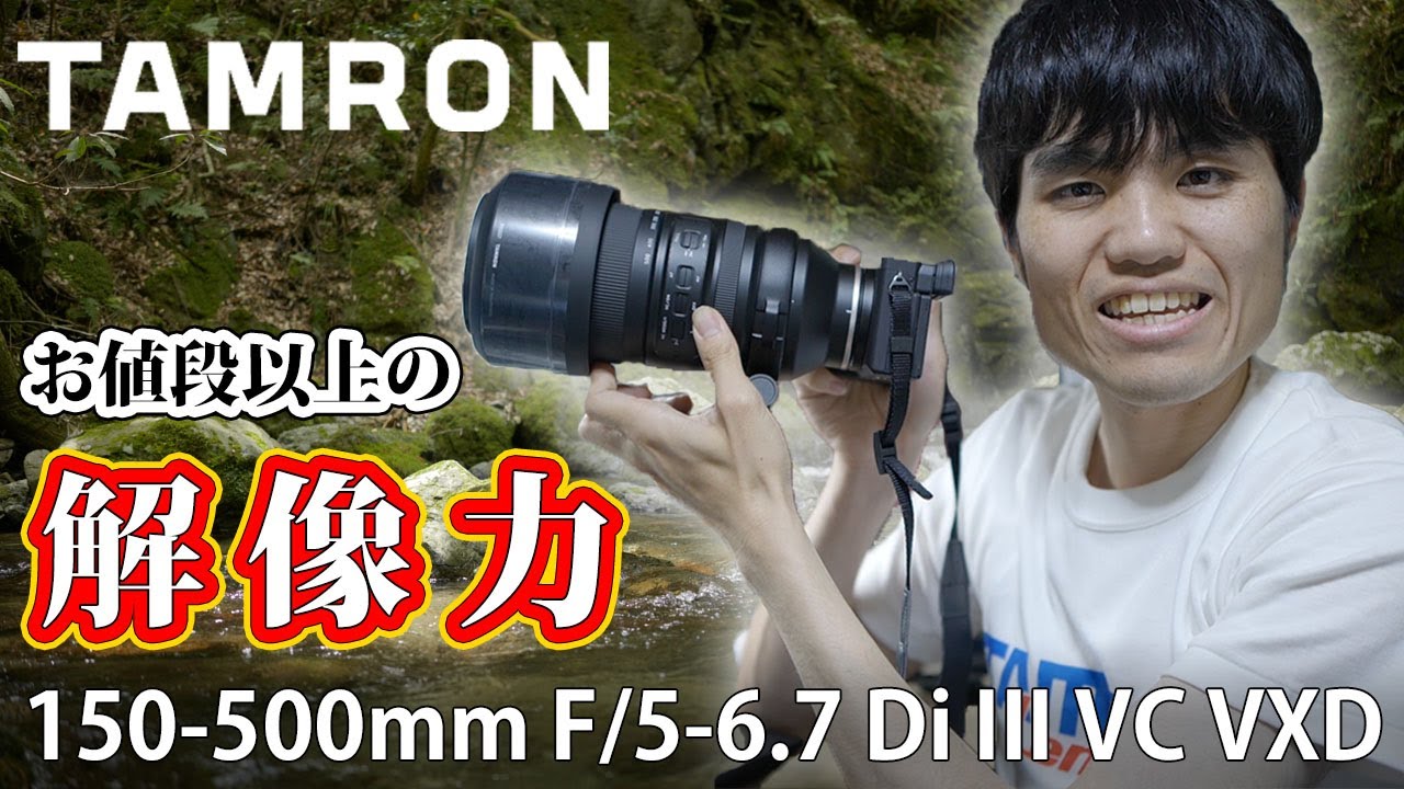 Better resolution than you'd expect! Testing the TAMRON 150-500mm