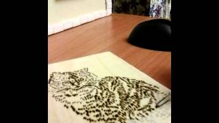 Выжигание по дереву. Картинка котик. Котик готов!! Выжигание по дереву. Картинка котик. Котик готов!!