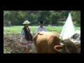 ROSEMARY NAVARRO - LA SIEMBRA - TUPIZA 2011