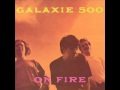 Galaxie 500  plastic bird